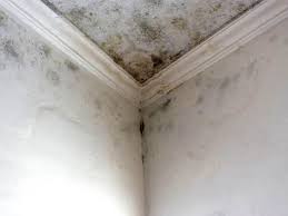 Best Mold Removal for HVAC Installations  in Lindenwold, NJ