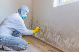 Why You Should Choose Our Mold Remediation Services in Lindenwold, NJ