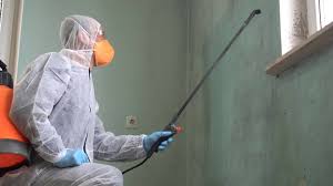 Best Industrial Mold Remediation  in Lindenwold, NJ