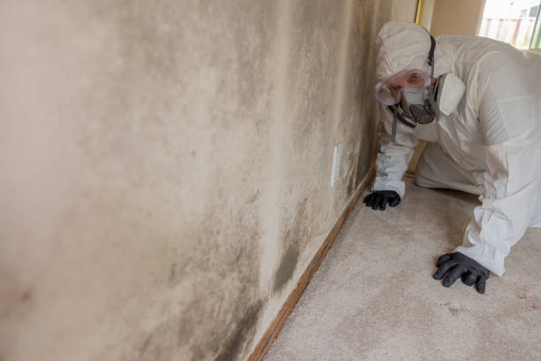 Best Asbestos and Lead Testing During Mold Inspection  in Lindenwold, NJ